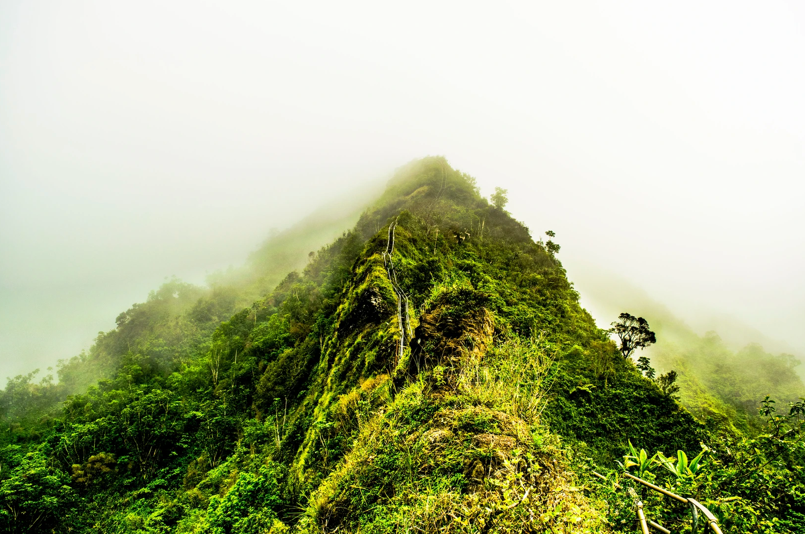 The Stairway to Heaven/Haiku Stairs on Oahu, Hawaii.