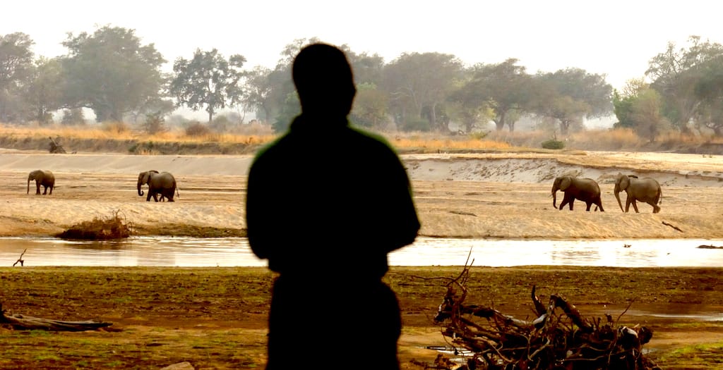 Remote, Rugged & Raw: North Luangwa National Park By Foot