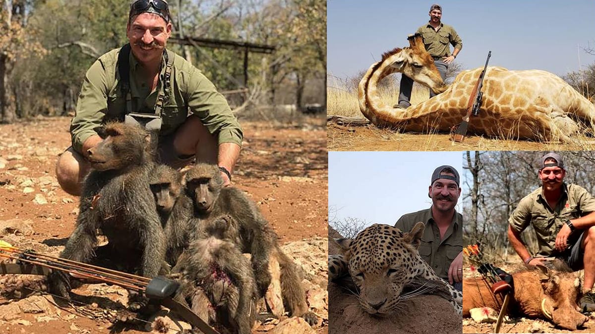 Sworn Wildlife Protector Murders a Family of Baboons: The Full Story