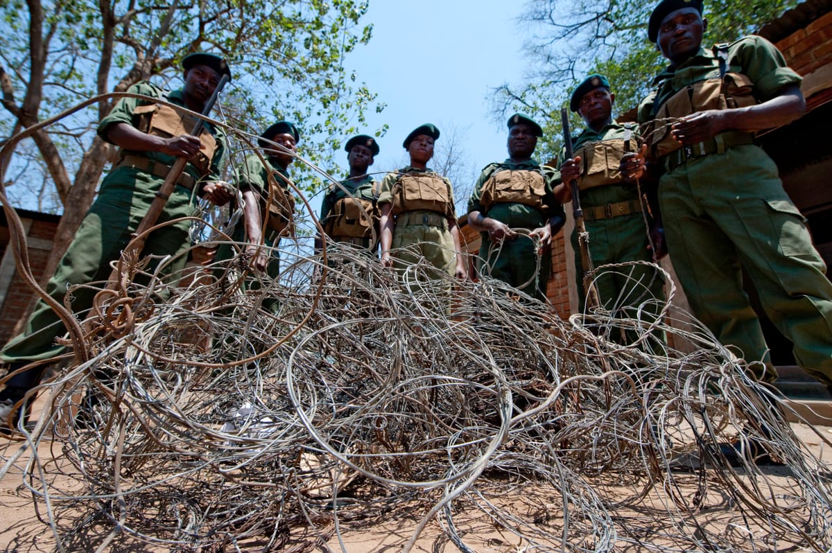 Snaring, The Silent Killer: Stories From The Bush