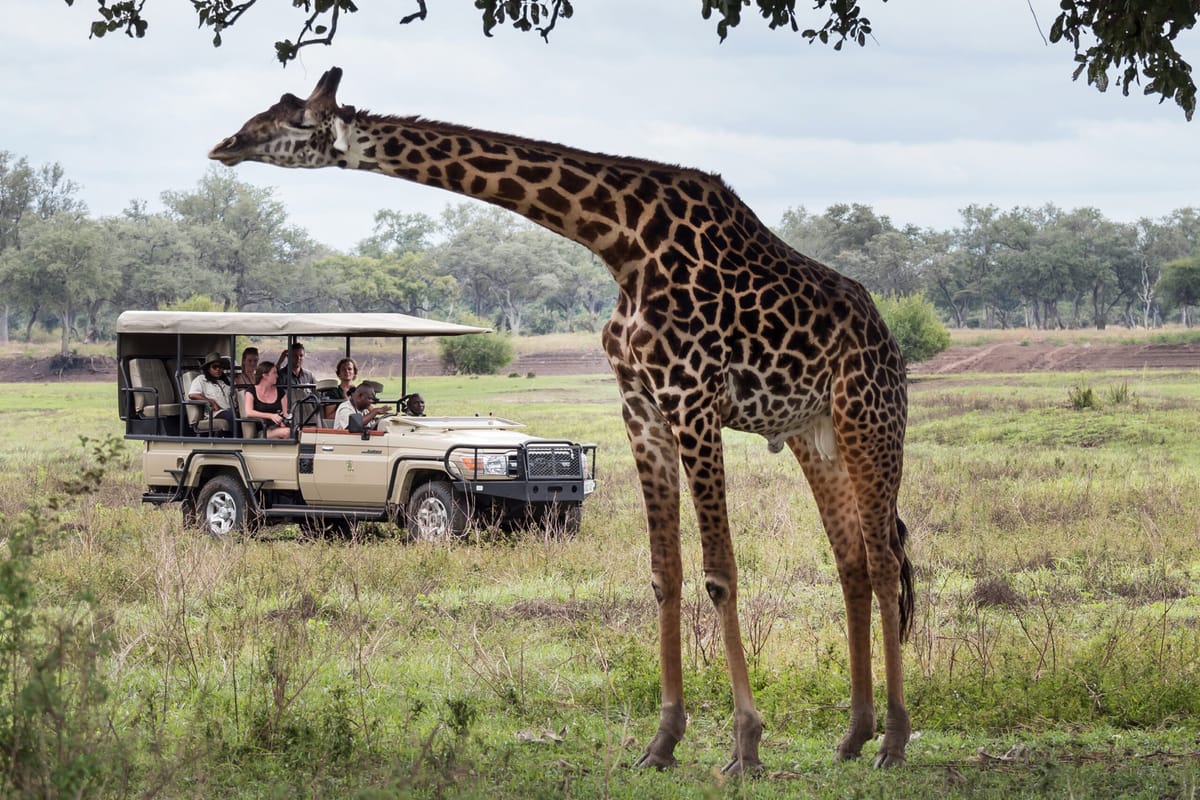 Sustainable Safari