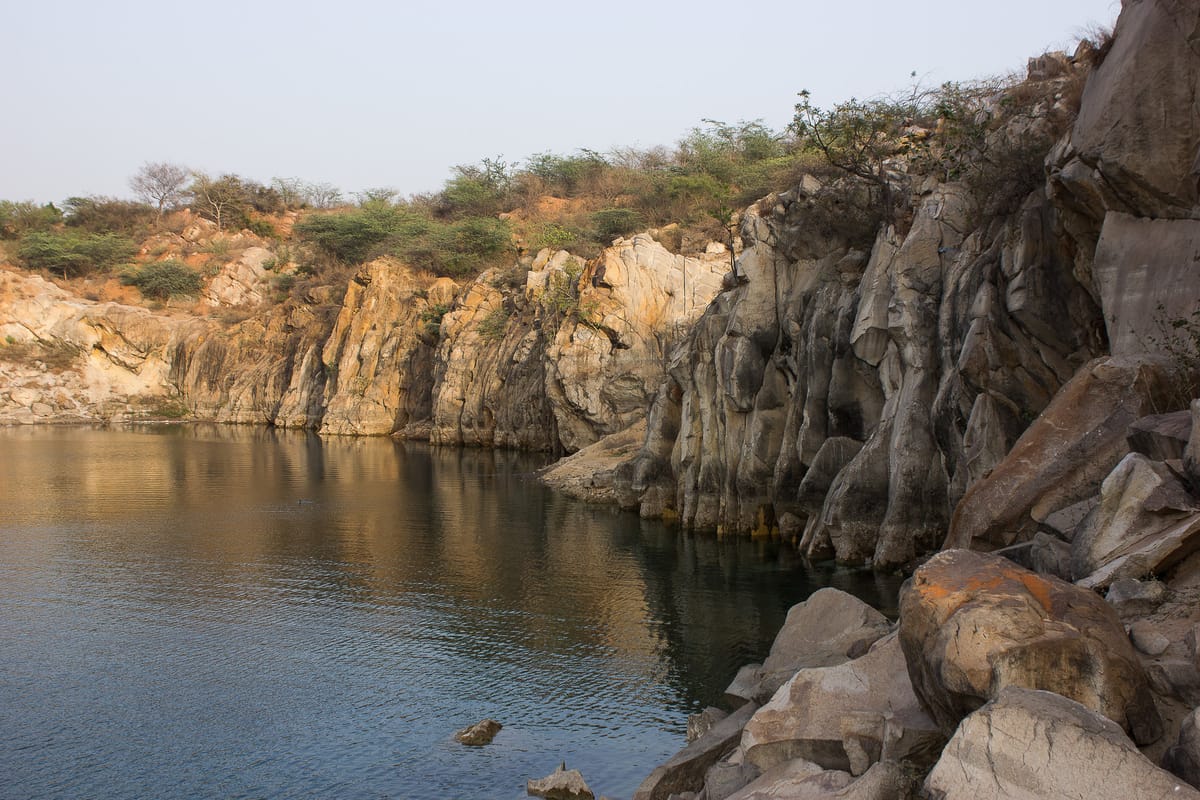 How Locals are Saving Delhi's Asola Bhatti Wildlife Sanctuary