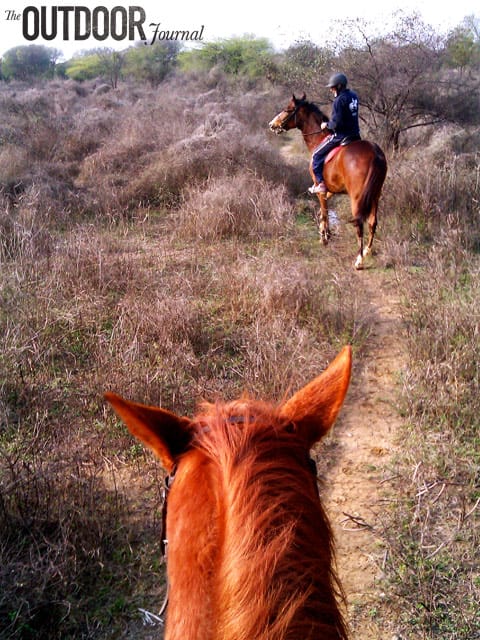 Does the American cowboy experience exist in India?