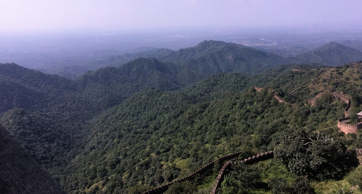 Why the Aravalli Forest Range is the Most Degraded Zone in India