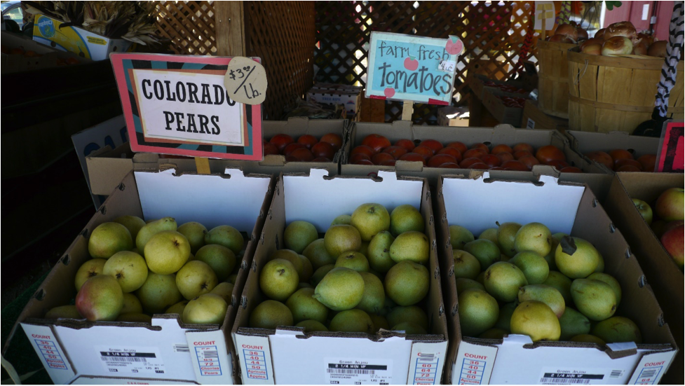 Know your Roots: Boulder’s Local Food Movement