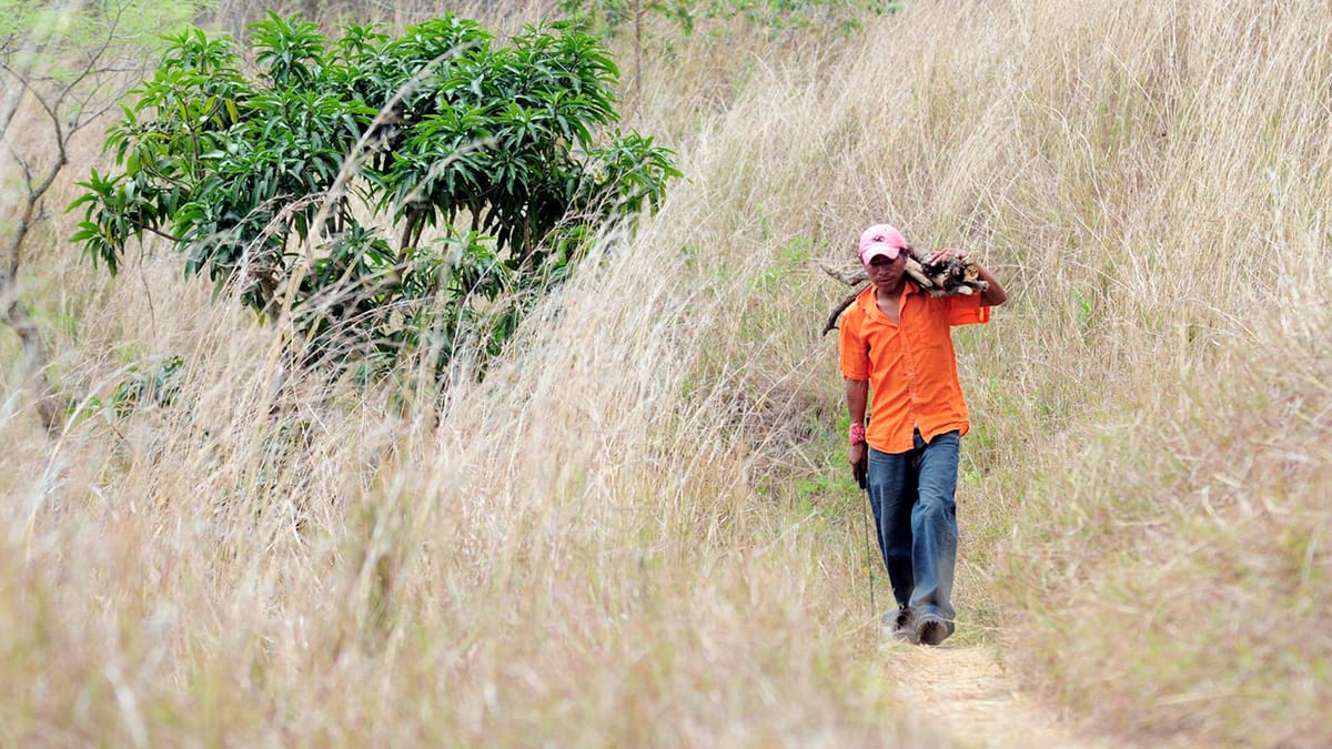 How climate change is driving emigration from Central America