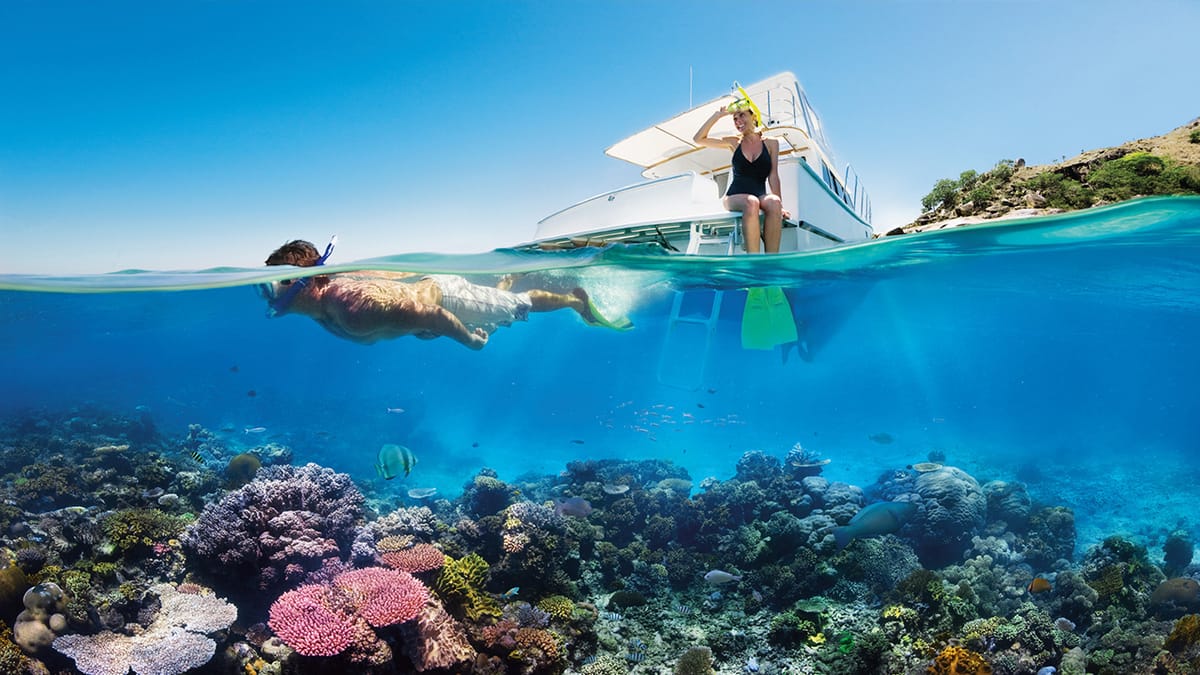 The Great Barrier Reef outlook is 'very poor'. We have one last chance to save it.