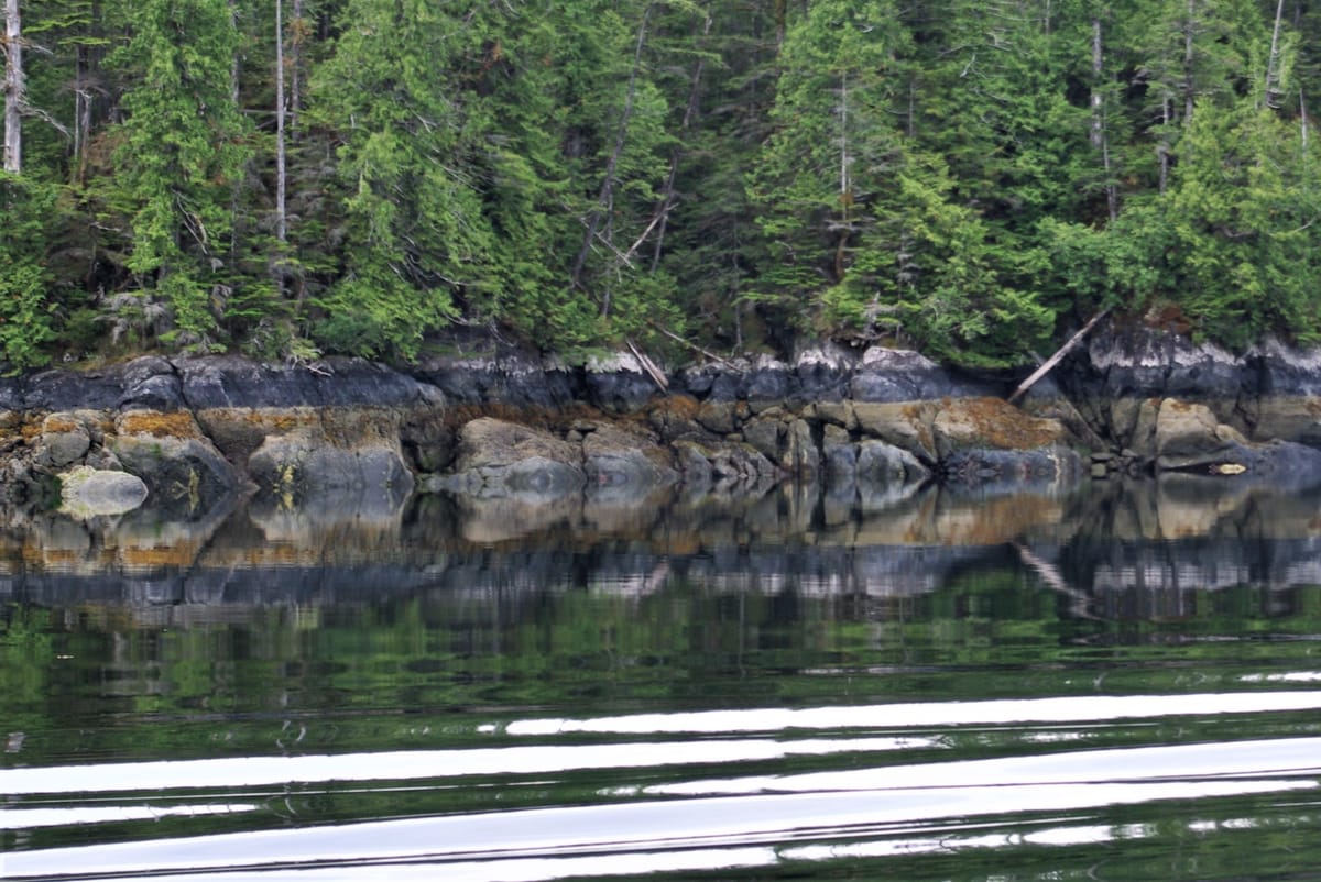 A Flotilla Cruise Through The Inside Passage: From Alaska to BC.