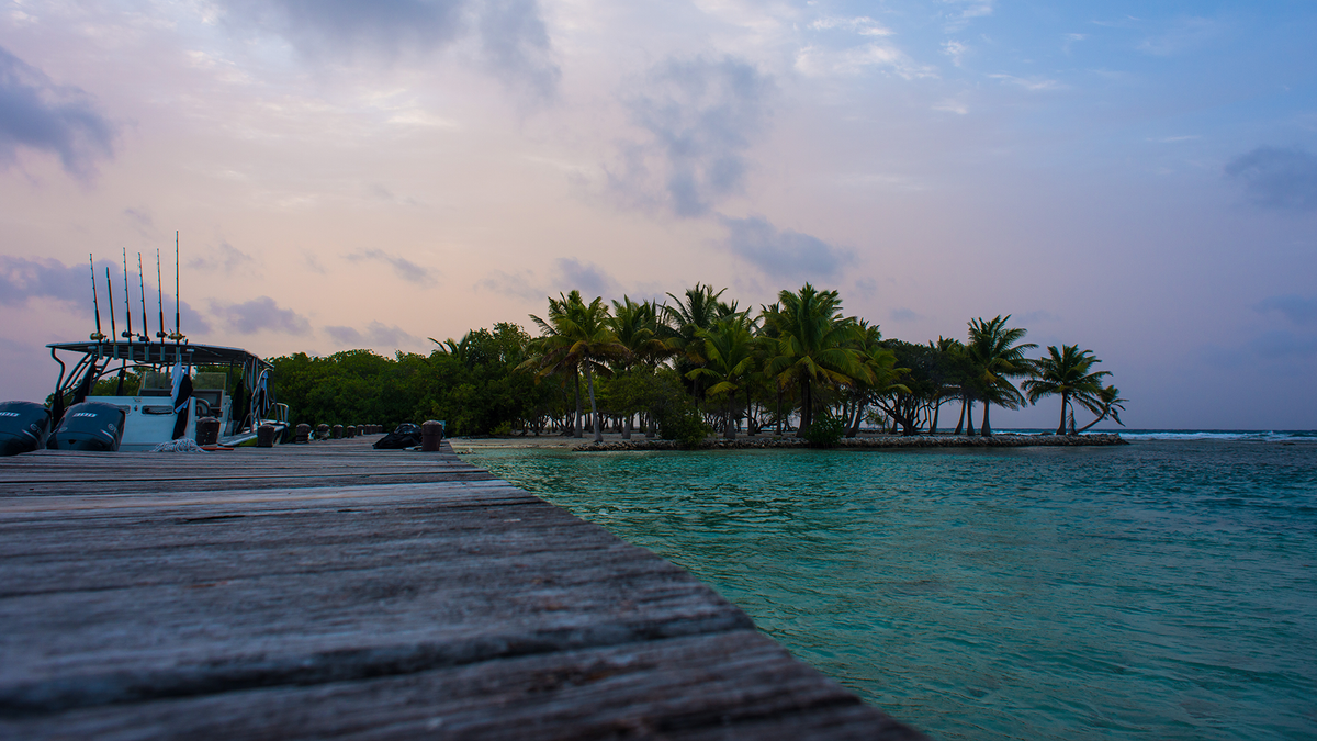 Freediving, Spearfishing and Disconnecting in a Remote corner of the  Caribbean – The Outdoor Journal