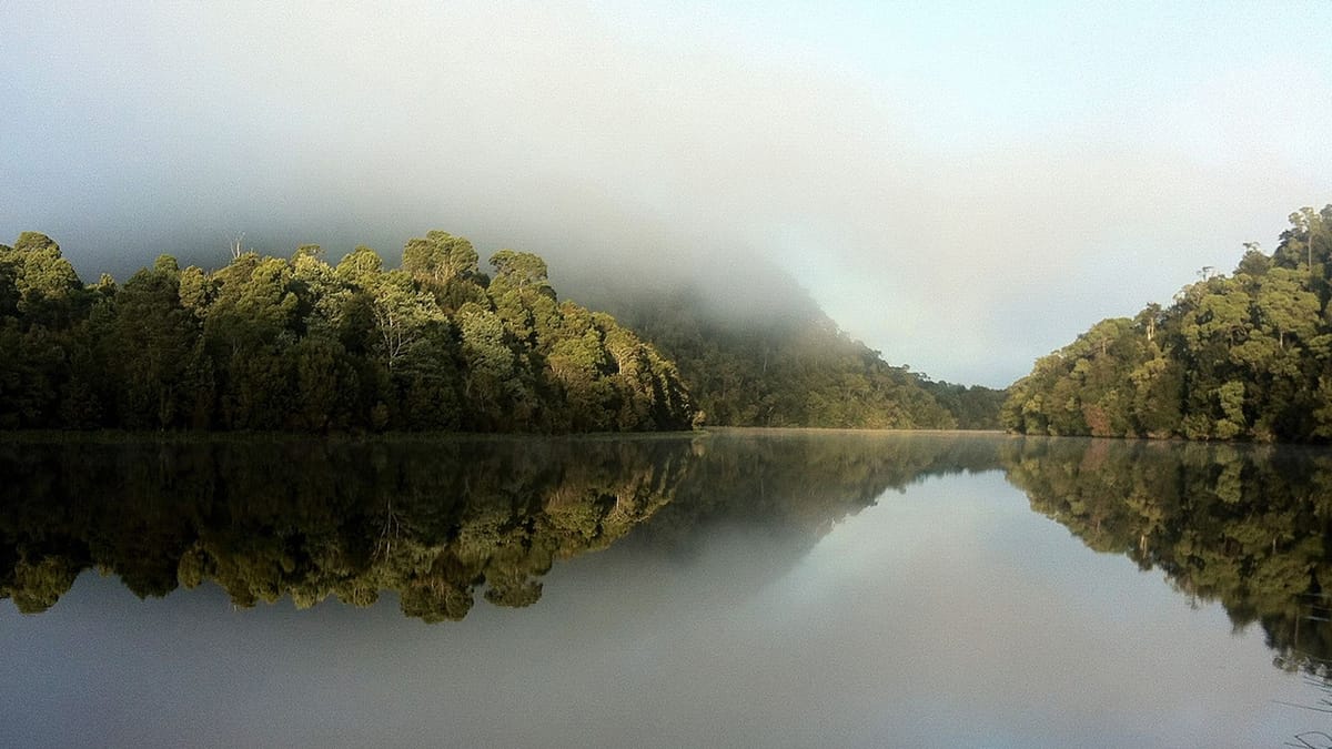 The Aboriginal “Wild”: Tackling Conservation in Tasmania’s Takayna