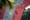 The Best Young Sport Climbers - IFSC World Youth Championships 2016