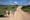 African Safari, Conservation and the Covid Connection