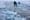 Centimeters from Death: Mike Horn on Crossing the North Pole