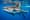 The Hunt For a Monster Tuna: Pelagic Renaissance
