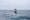 Watch 'Message On a Bottle': Surfing on a Soda Bottle Surfboard