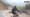 Hike, bike and raft: AquaTerra Challenge 2013 in Rishikesh