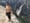 Alex Honnold Free Solos El Capitan