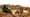 Stories From The Sahel: Trekking the Sindou Peaks in Burkina Faso
