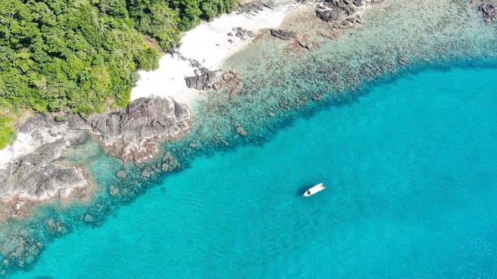 A Deep Dive into the Coral Regeneration Projects of India