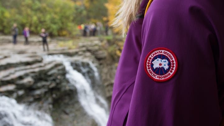 Wild Goose: A Visit to Canada Goose in Toronto