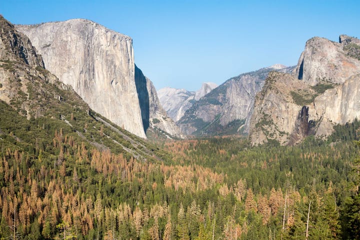 Yosemite Origins: How a National Park Was Born