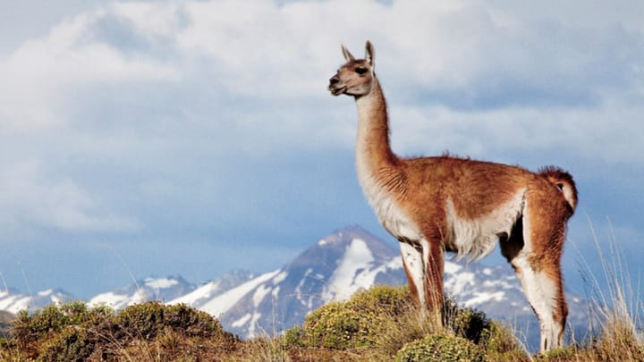 “Ruta de los Parques” Positions Chile as a Global Leader in Sustainable Tourism