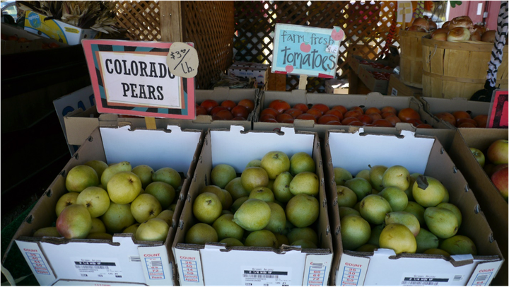 Know your Roots: Boulder’s Local Food Movement