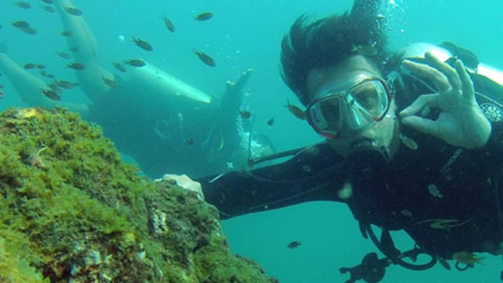 An Introduction to Scuba Diving for Beginners