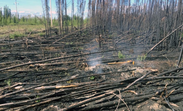 Zombie Fires Threaten Arctic Land and Climate