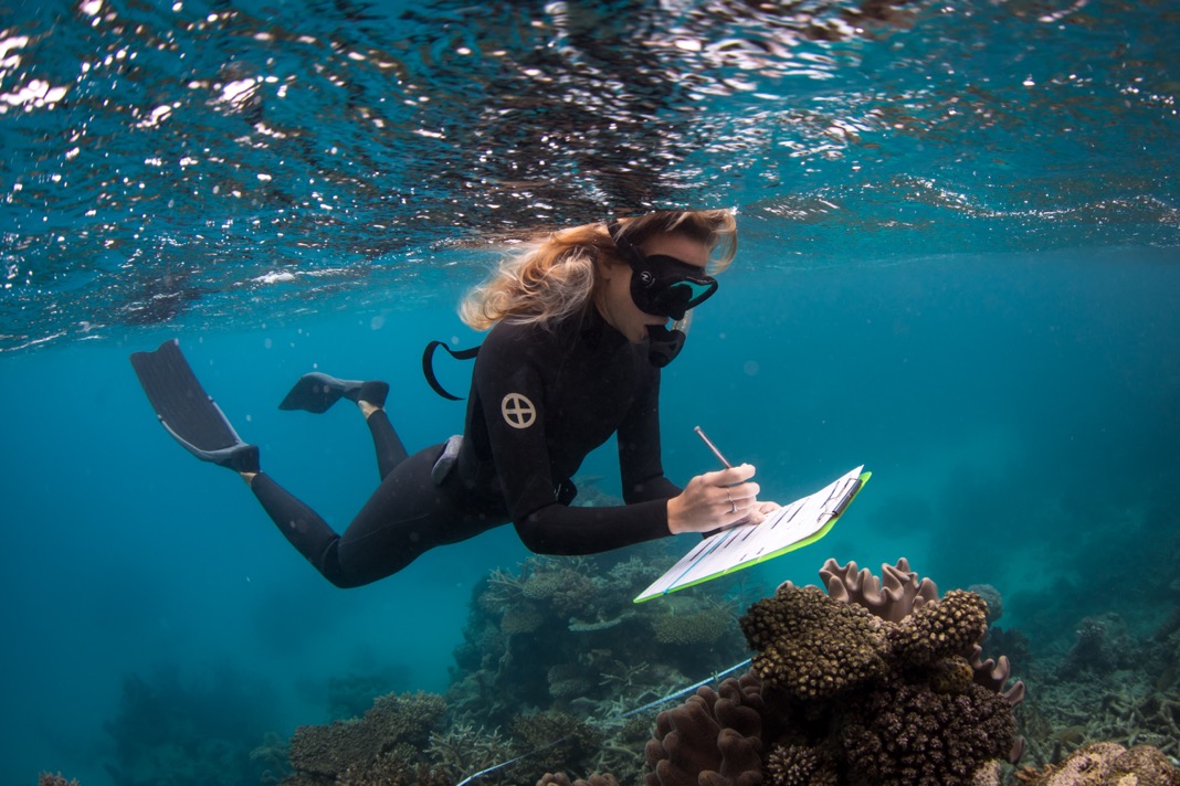 Marine biologist Taylor Simpkins completes a reef impact survey on the Great Barrier Reef to determine reef health. Photo © Brett Monroe Garner