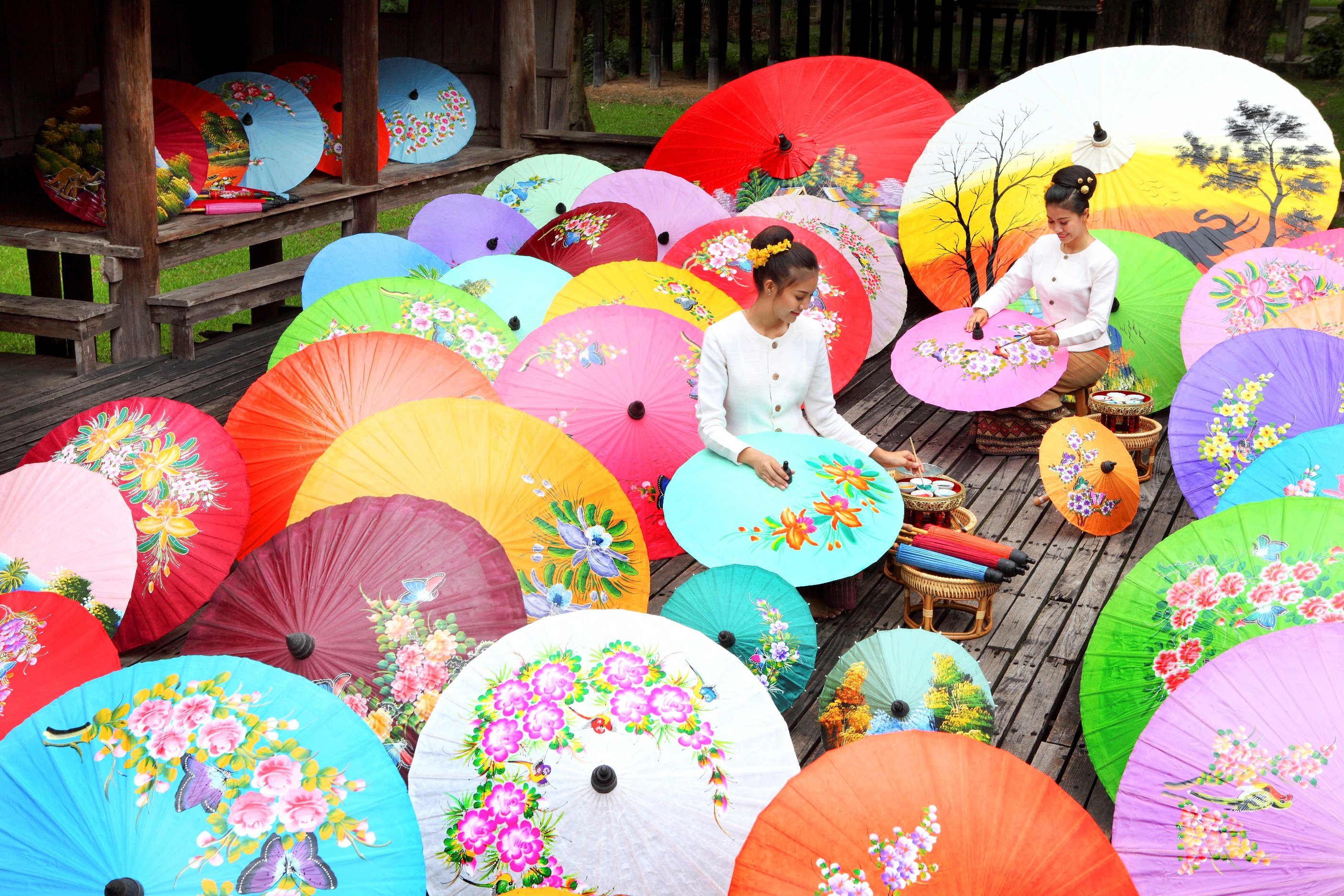 Borsang's umbrellas