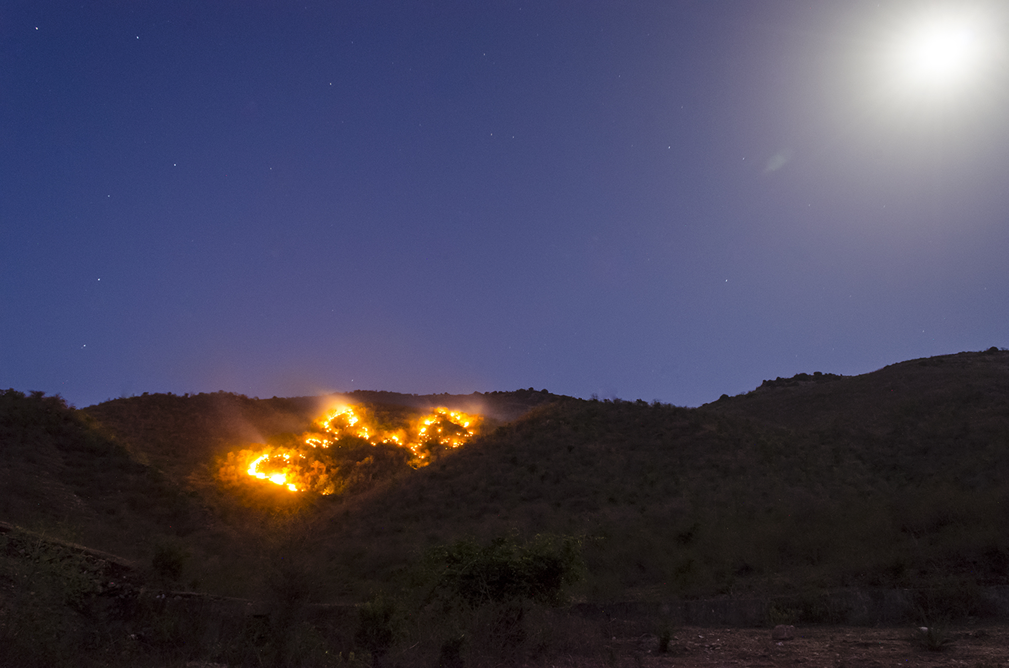 A forest fire in the Aravalli range, outside Udaipur in Rajasthan, India © Arpit Vyas