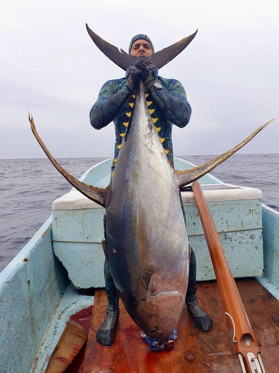 The Hunt For a Monster Tuna: Pelagic Renaissance – The Outdoor Journal
