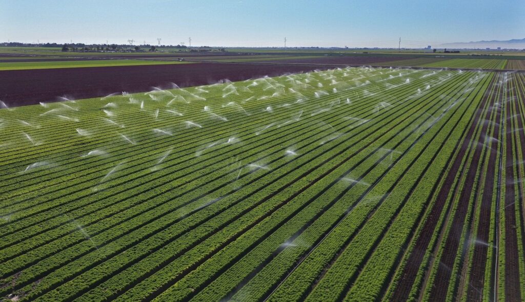 NextImg:The Colorado River Drought Crisis: 5 Essential Reads