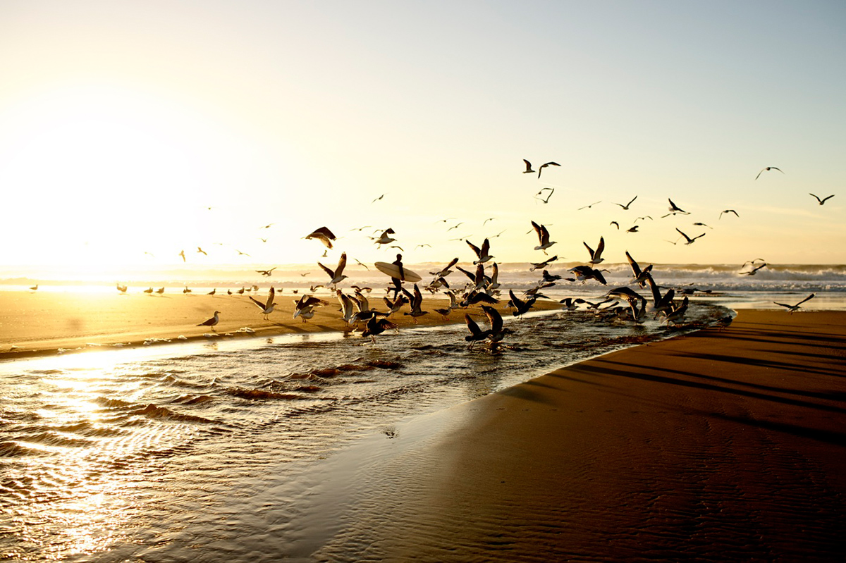 HereToHere-Morgan-Maassen-Outdoor-Journal-19