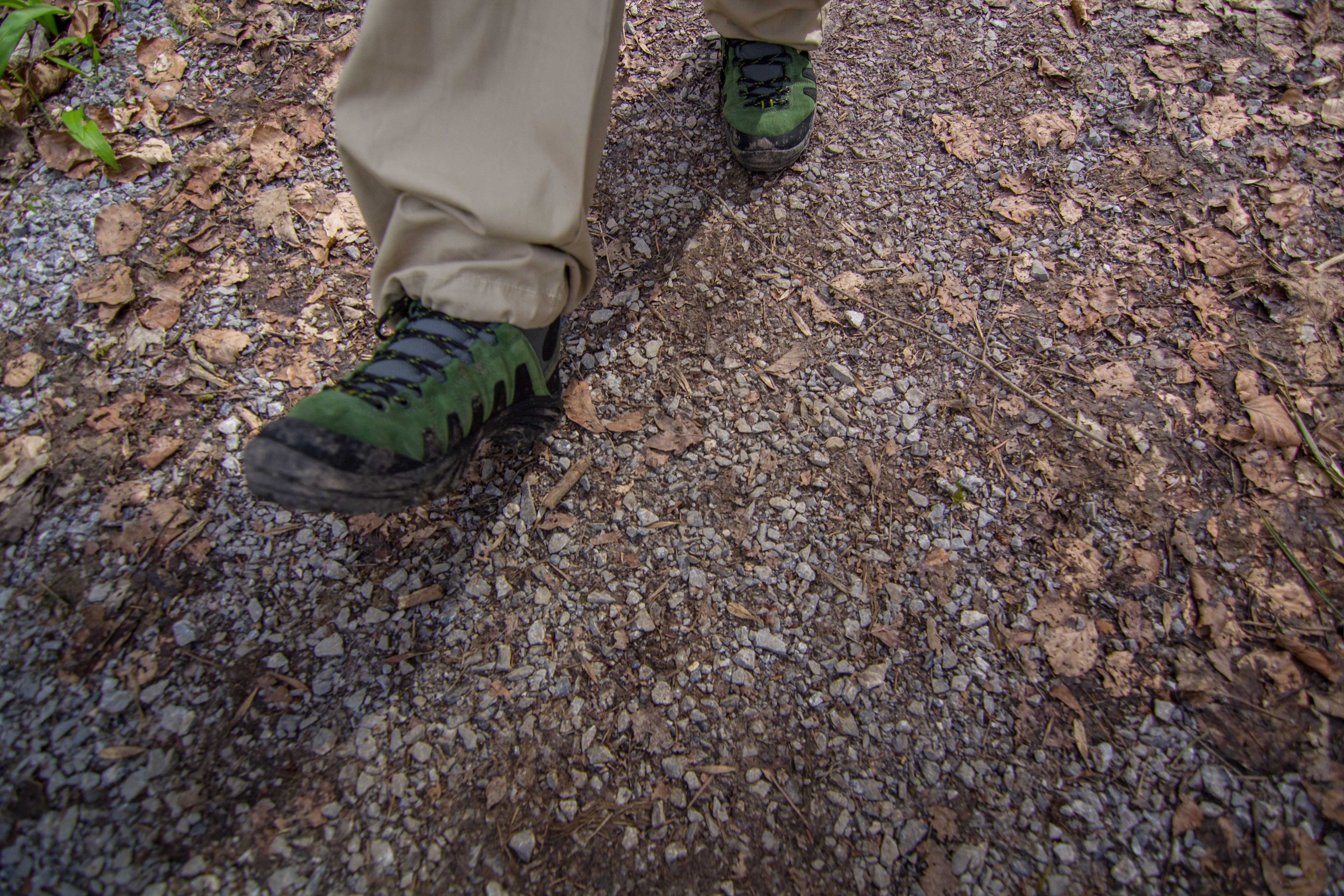 Walking through the Swiss Meadows after a splash in a muddy pool. Zero water permeated inside the shoe. Photo by: Trivik Verma