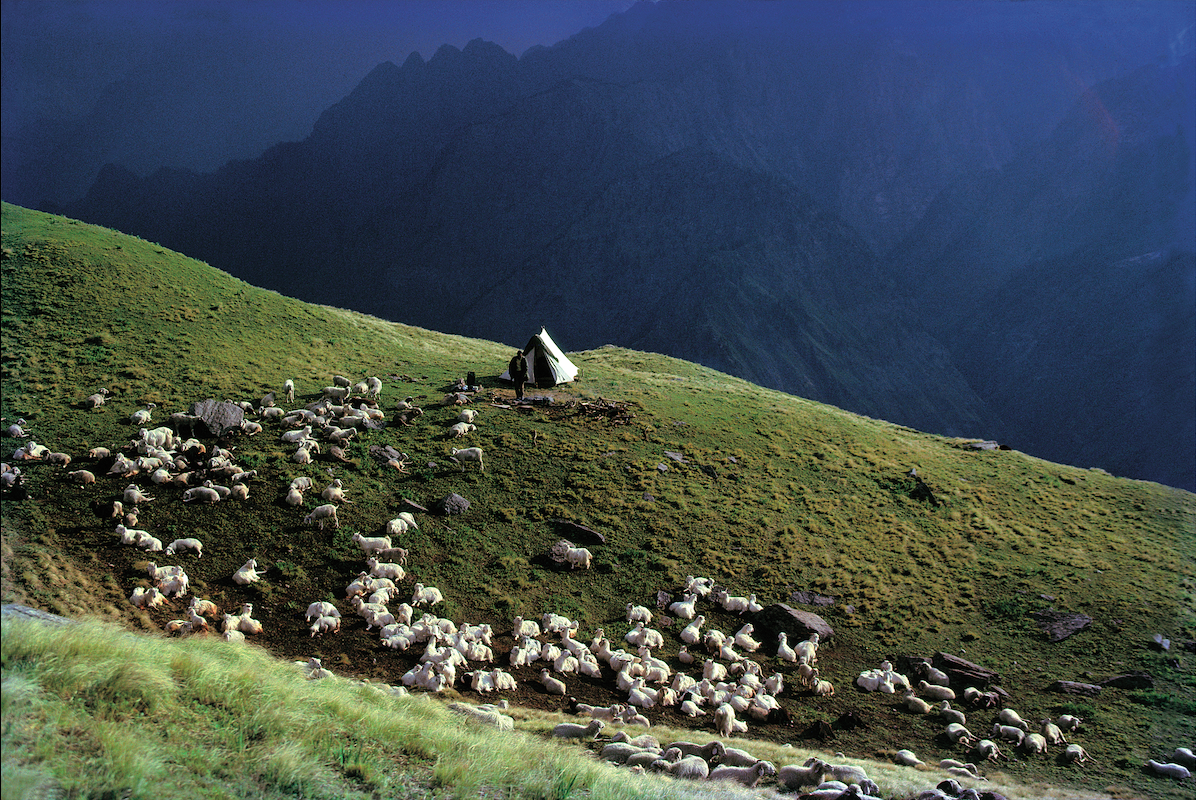 HIMALAYAS