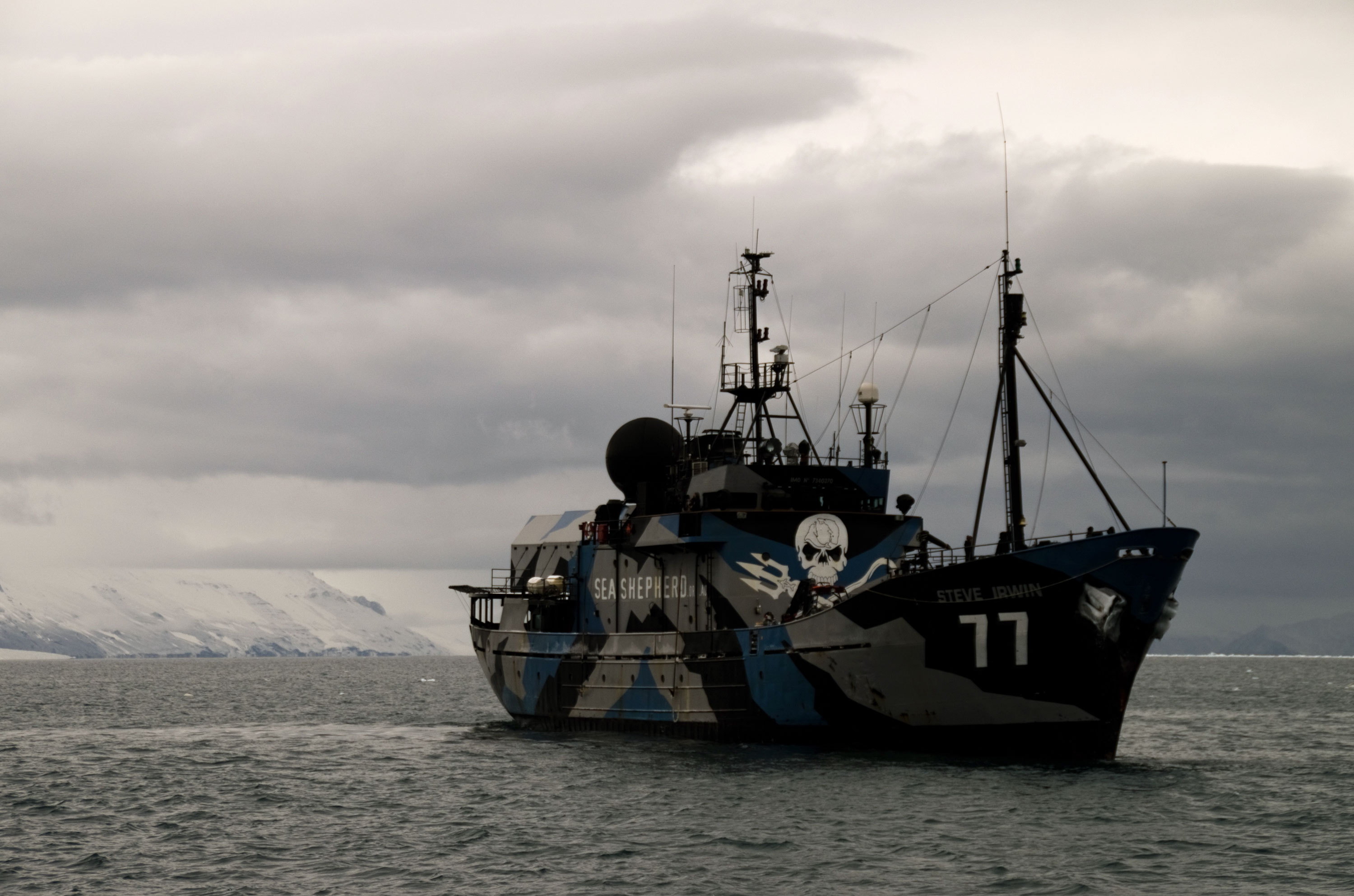 The Sea Shepherd vessel. Photo: Nico Edwards