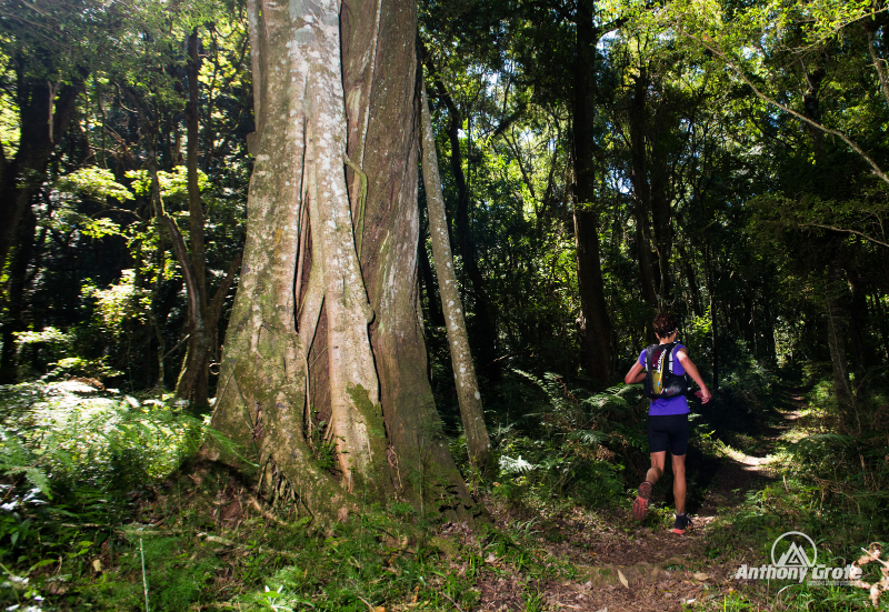 Driekie Black relishing the thick forest trails © Anthony Grote